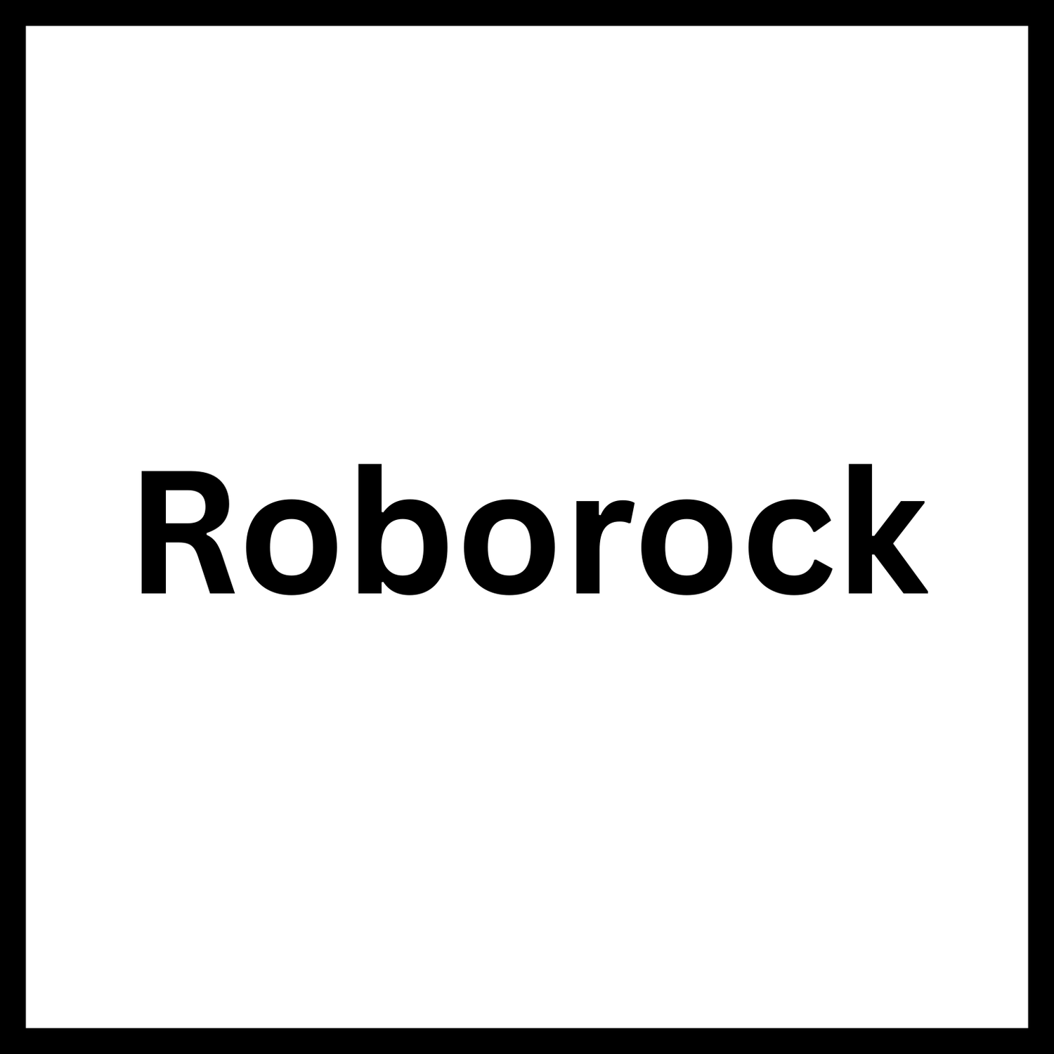 Roborock